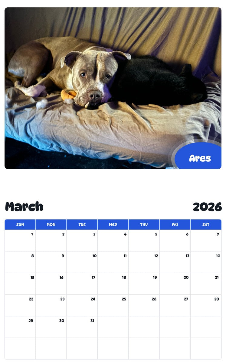 November 2025 - October 2026 Ares - Pawidols Pet Calendar