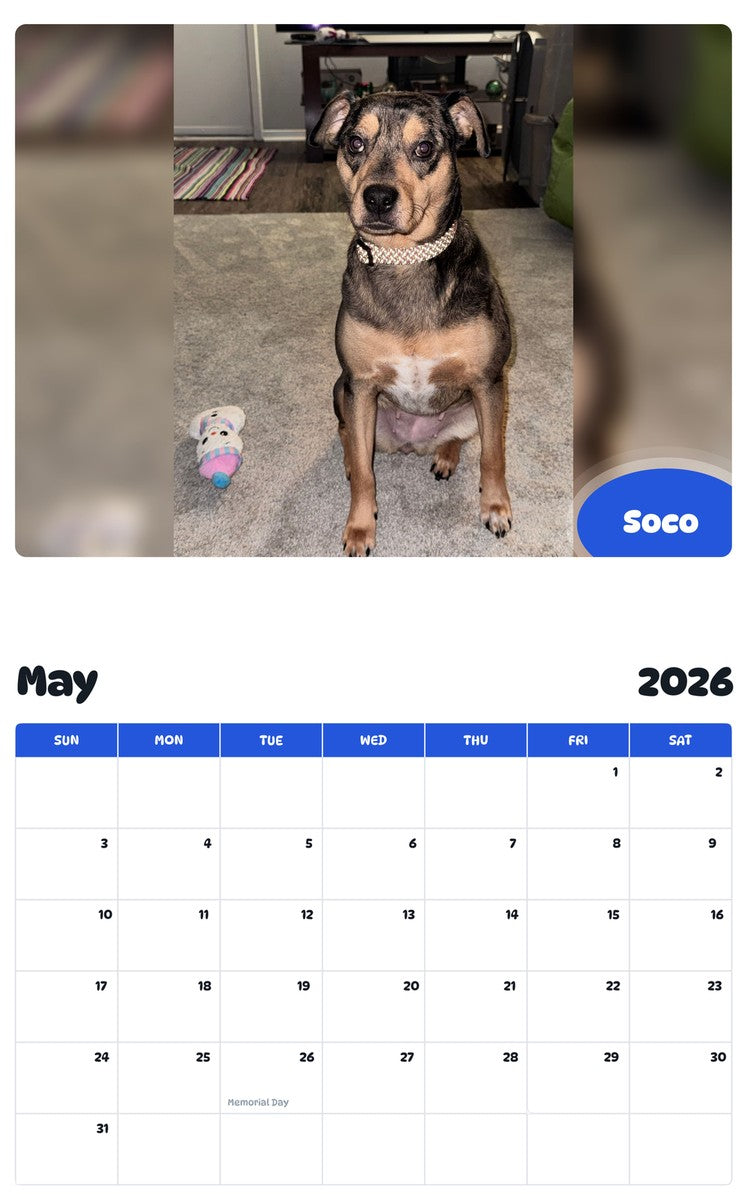 2026 - 2027 Soco - Pawidols Pet Calendar