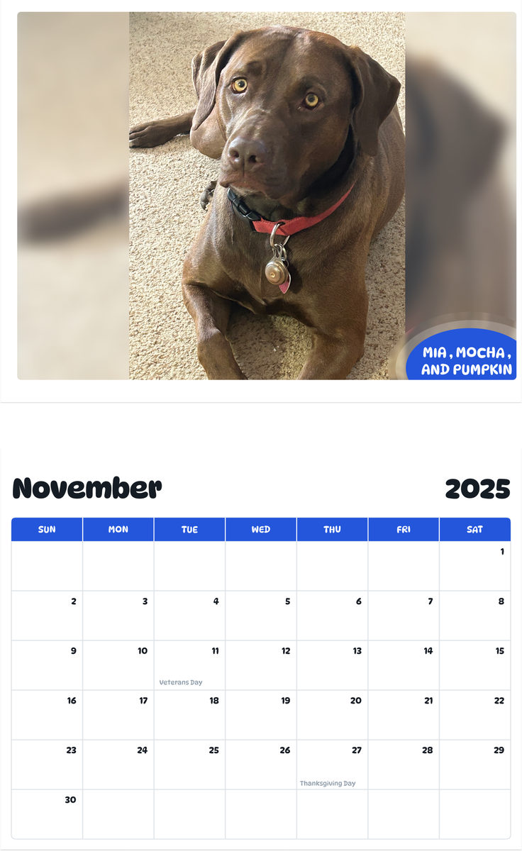 July 2025 - June 2026 Mia , Mocha , and Pumpkin - Pawidols Pet Calendar