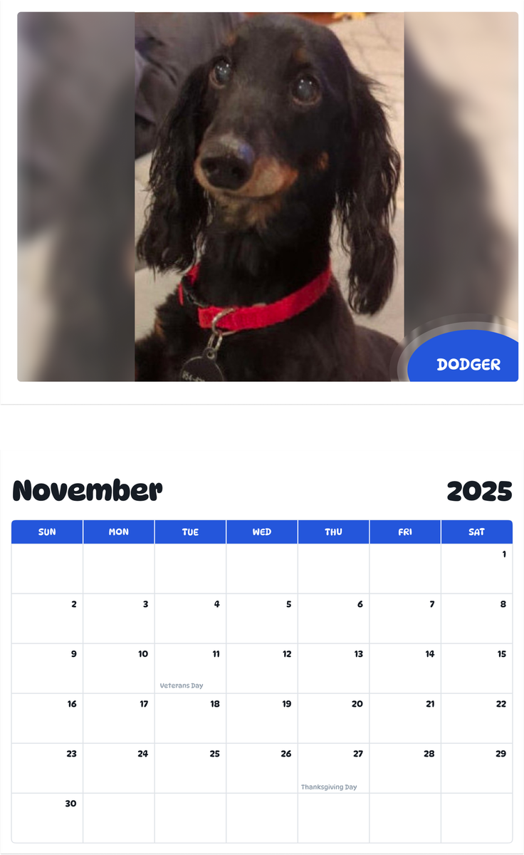 July 2025 - June 2026 Dodger - Pawidols Pet Calendar