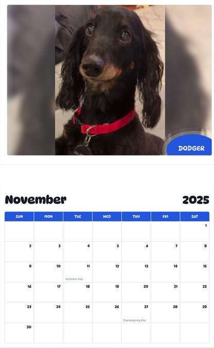 July 2025 - June 2026 Dodger - Pawidols Pet Calendar