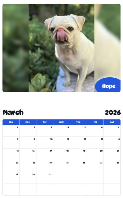 November 2025 - October 2026 Hope - Pawidols Pet Calendar
