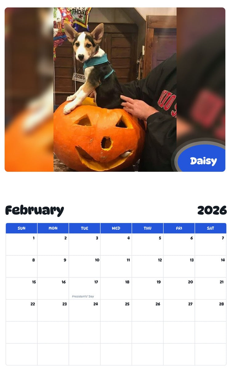 November 2025 - October 2026 Daisy - Pawidols Pet Calendar