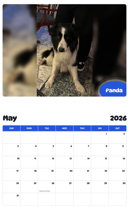 2026 - 2027 Panda - Pawidols Pet Calendar