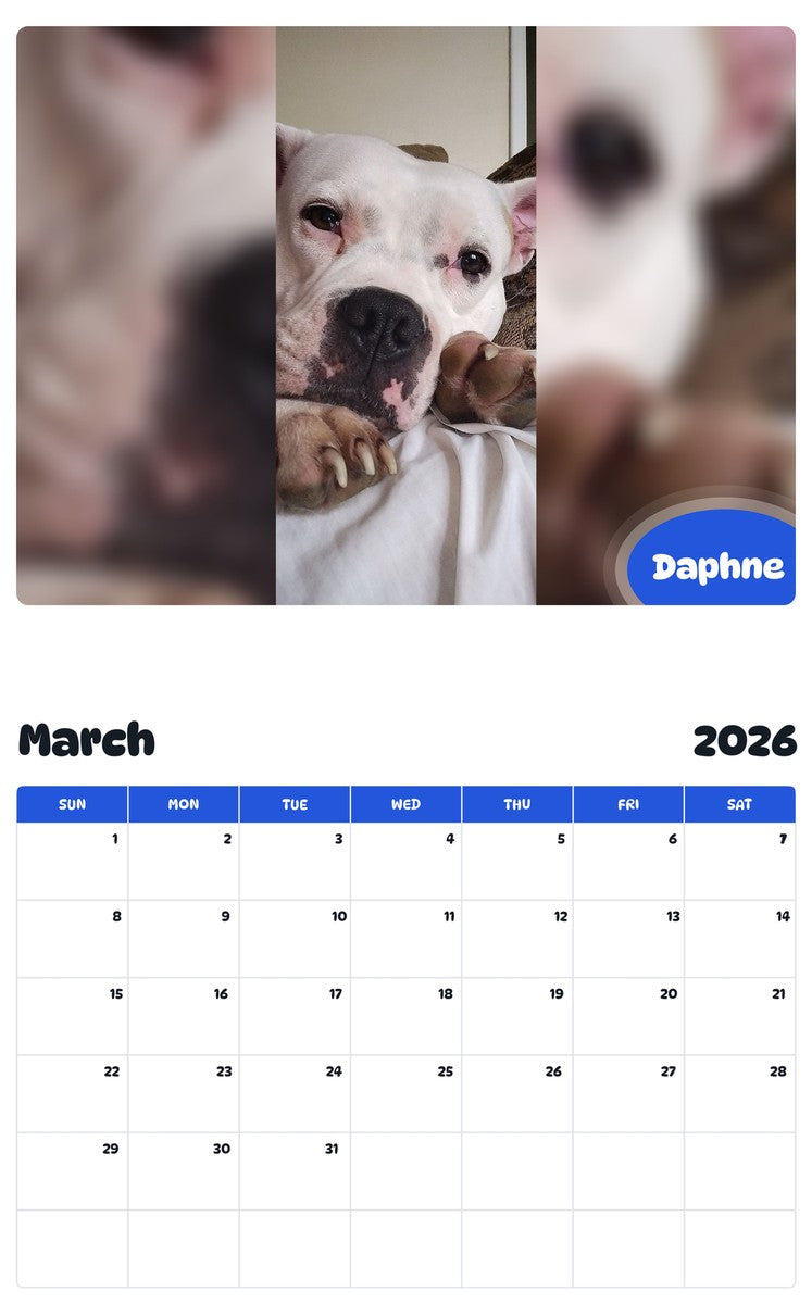 November 2025 - October 2026 Daphne - Pawidols Pet Calendar