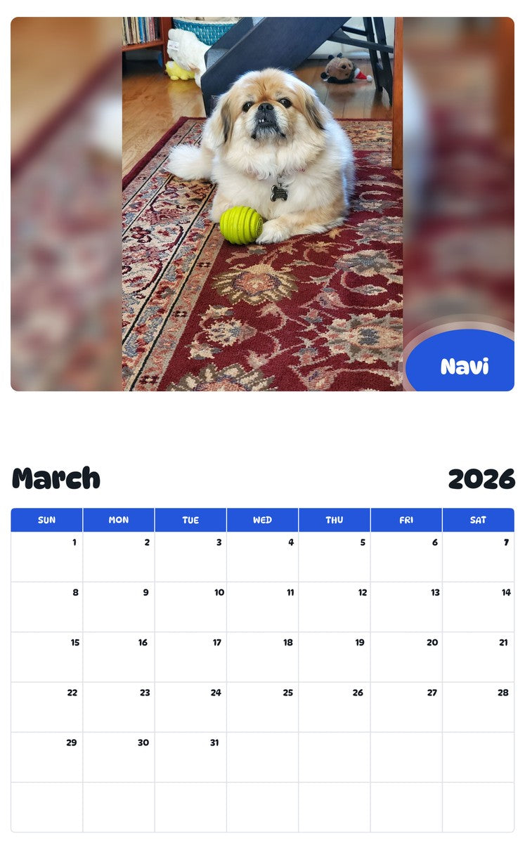 November 2025 - October 2026 Navi - Pawidols Pet Calendar