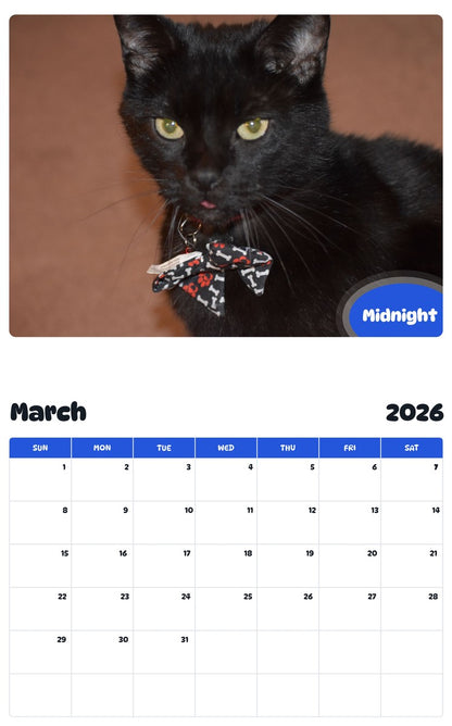 November 2025 - October 2026 Midnight - Pawidols Pet Calendar