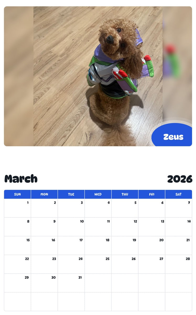 November 2025 - October 2026 Zeus - Pawidols Pet Calendar