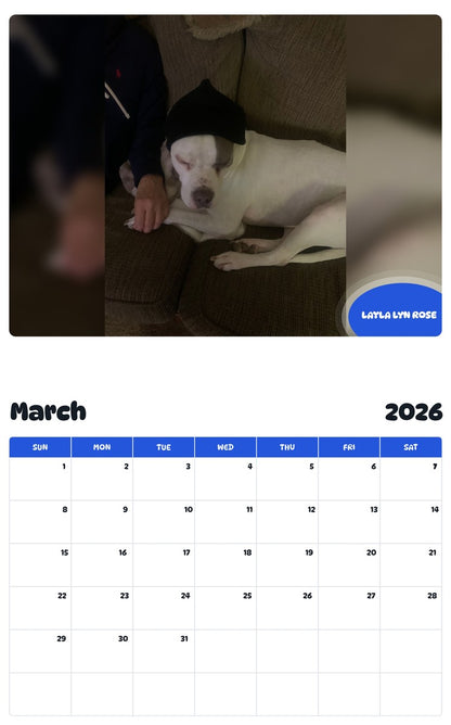 November 2025 - October 2026 LAYLA LYN ROSE - Pawidols Pet Calendar