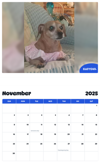 July 2025 - June 2026 Babygirl - Pawidols Pet Calendar