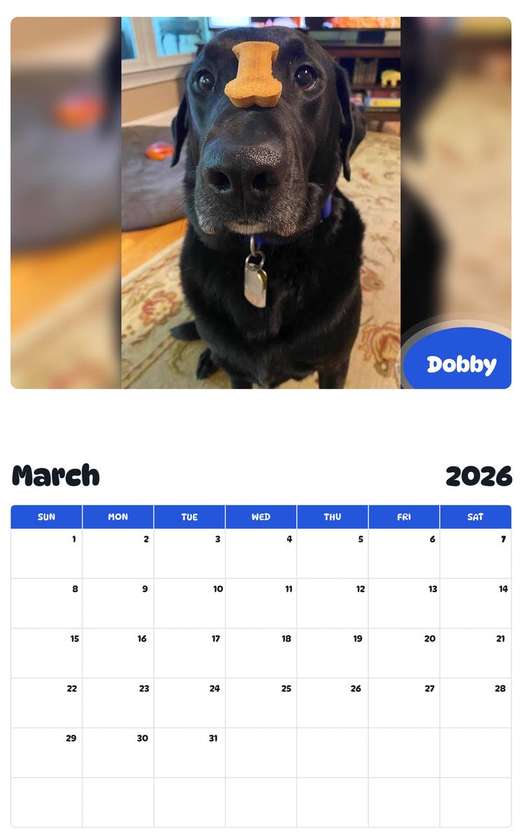 November 2025 - October 2026 Dobby - Pawidols Pet Calendar