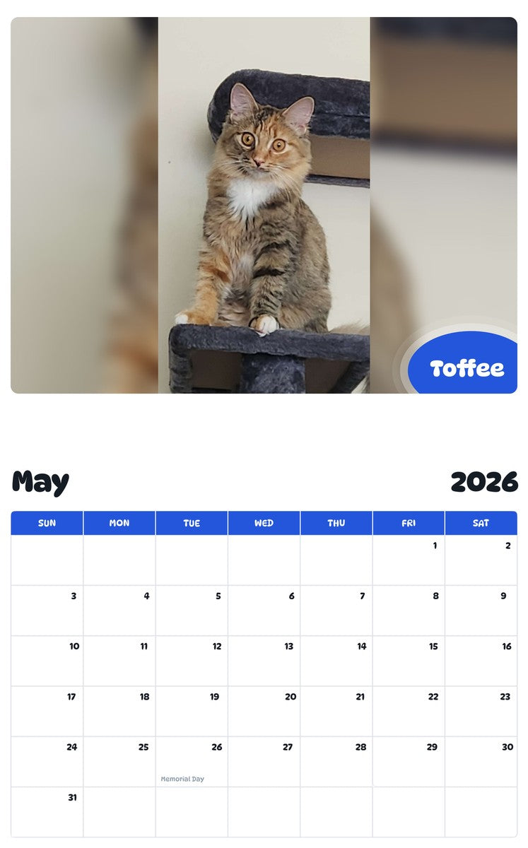 2026 - 2027 Toffee - Pawidols Pet Calendar