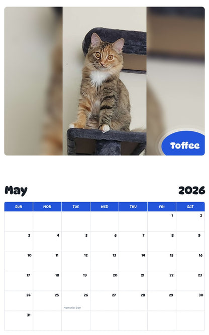 2026 - 2027 Toffee - Pawidols Pet Calendar