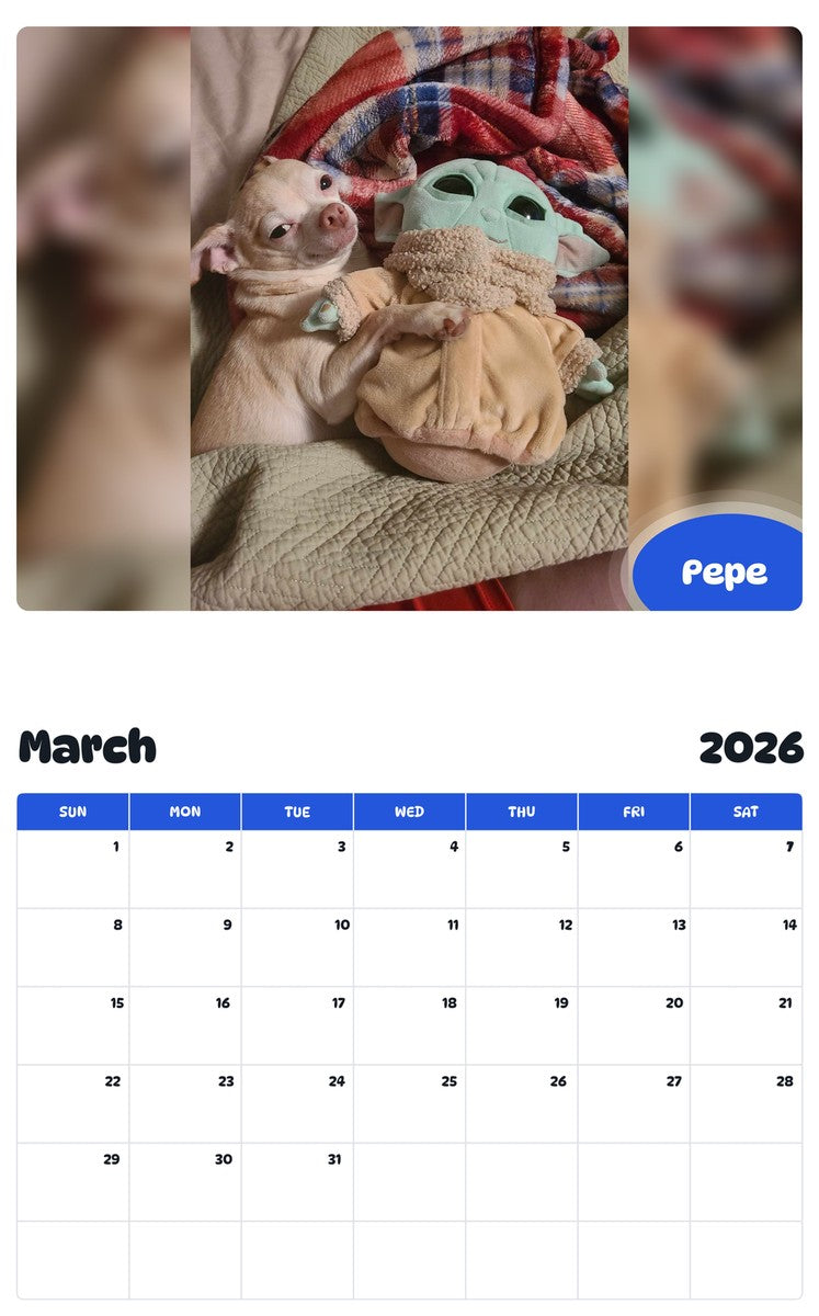 November 2025 - October 2026 Pepe - Pawidols Pet Calendar