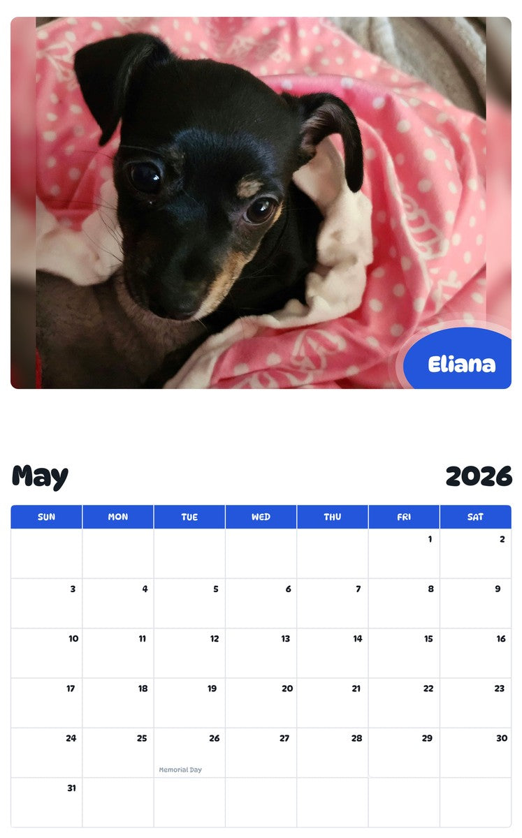 2026 - 2027 Eliana - Pawidols Pet Calendar