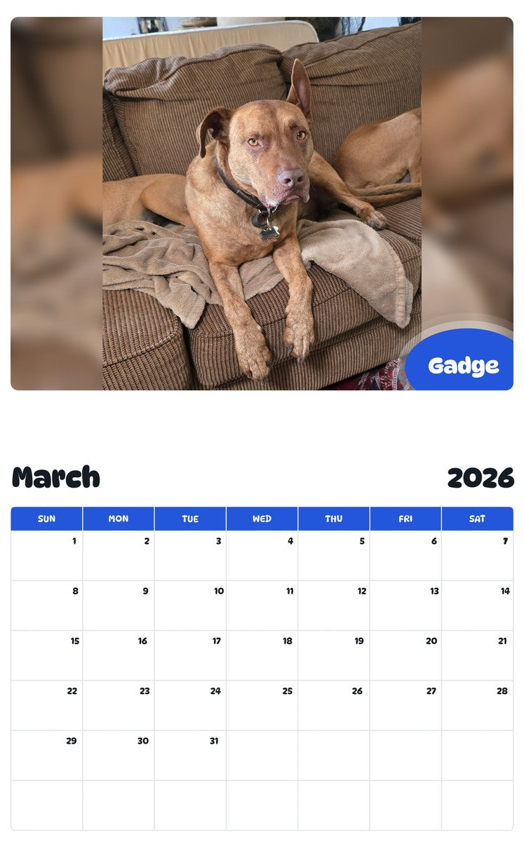 November 2025 - October 2026 Gadge - Pawidols Pet Calendar