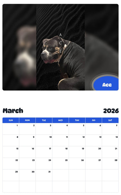 November 2025 - October 2026 Ace - Pawidols Pet Calendar