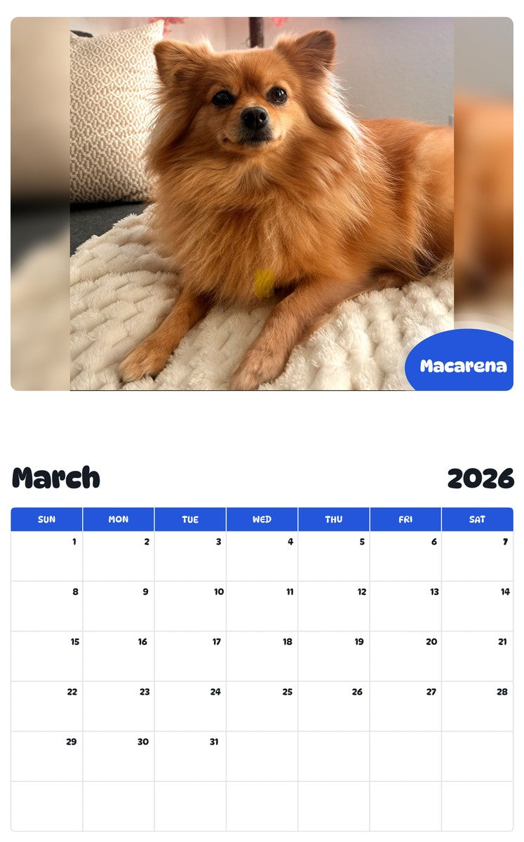 November 2025 - October 2026 Macarena - Pawidols Pet Calendar