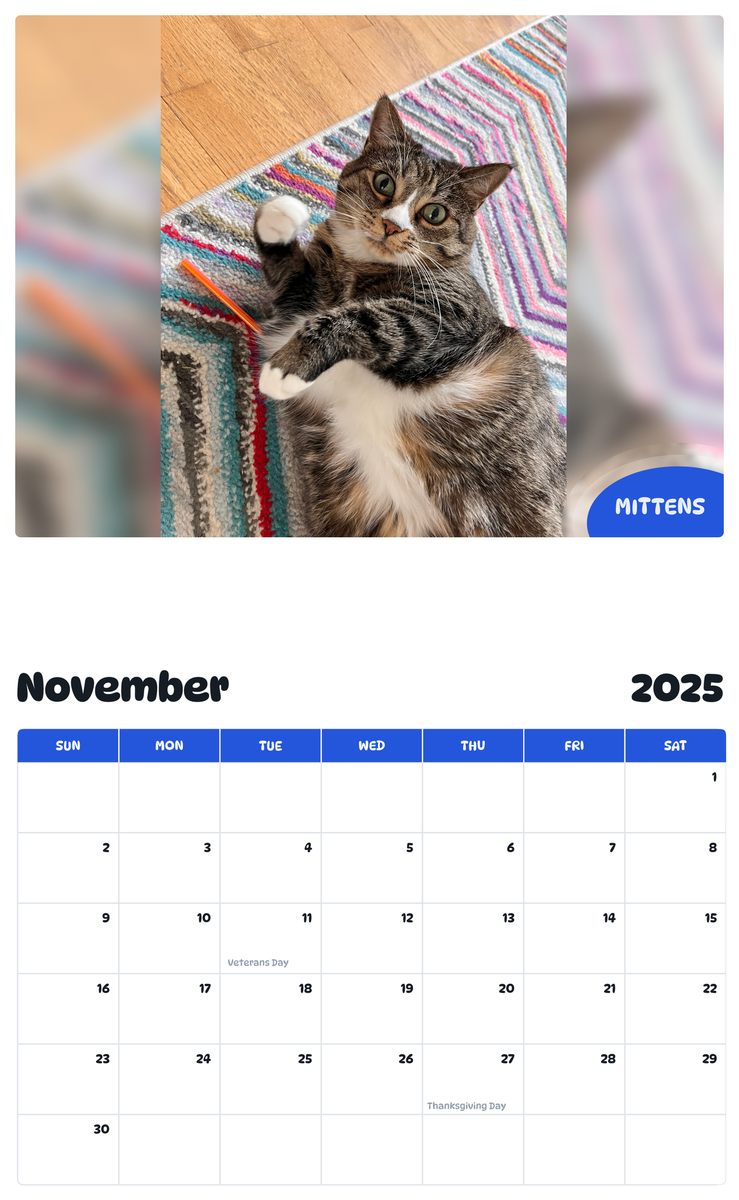 July 2025 - June 2026 Mittens - Pawidols Pet Calendar