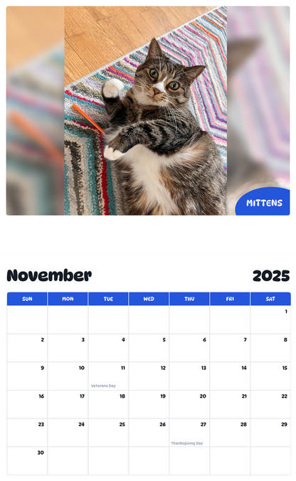 July 2025 - June 2026 Mittens - Pawidols Pet Calendar