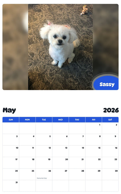 2026 - 2027 Sassy - Pawidols Pet Calendar