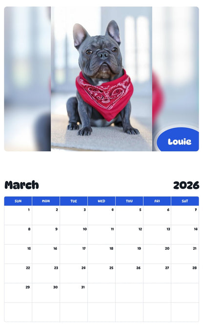 November 2025 - October 2026 Louie - Pawidols Pet Calendar