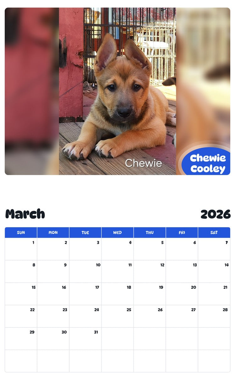 November 2025 - October 2026 Chewie Cooley - Pawidols Pet Calendar