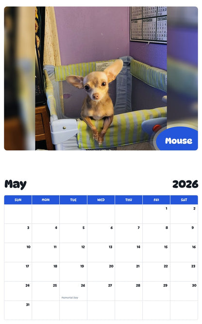 2026 - 2027 Mouse - Pawidols Pet Calendar