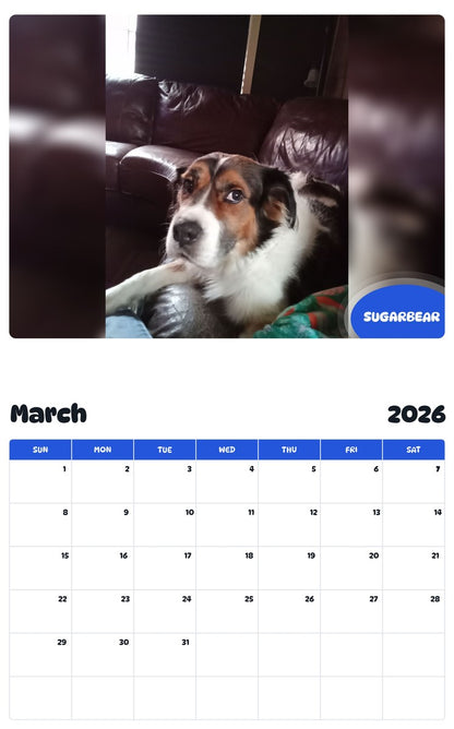 November 2025 - October 2026 SUGARBEAR - Pawidols Pet Calendar