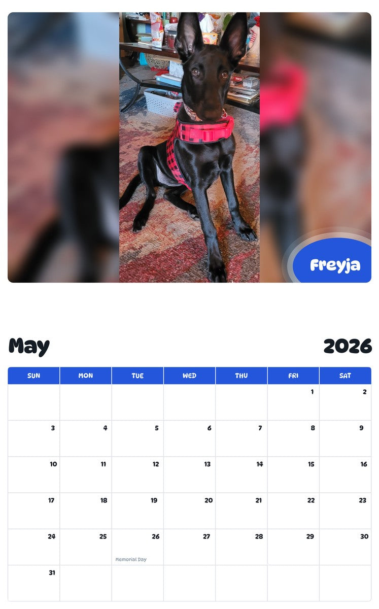 2026 - 2027 Freyja - Pawidols Pet Calendar