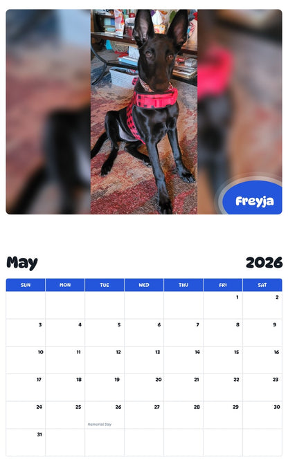 2026 - 2027 Freyja - Pawidols Pet Calendar