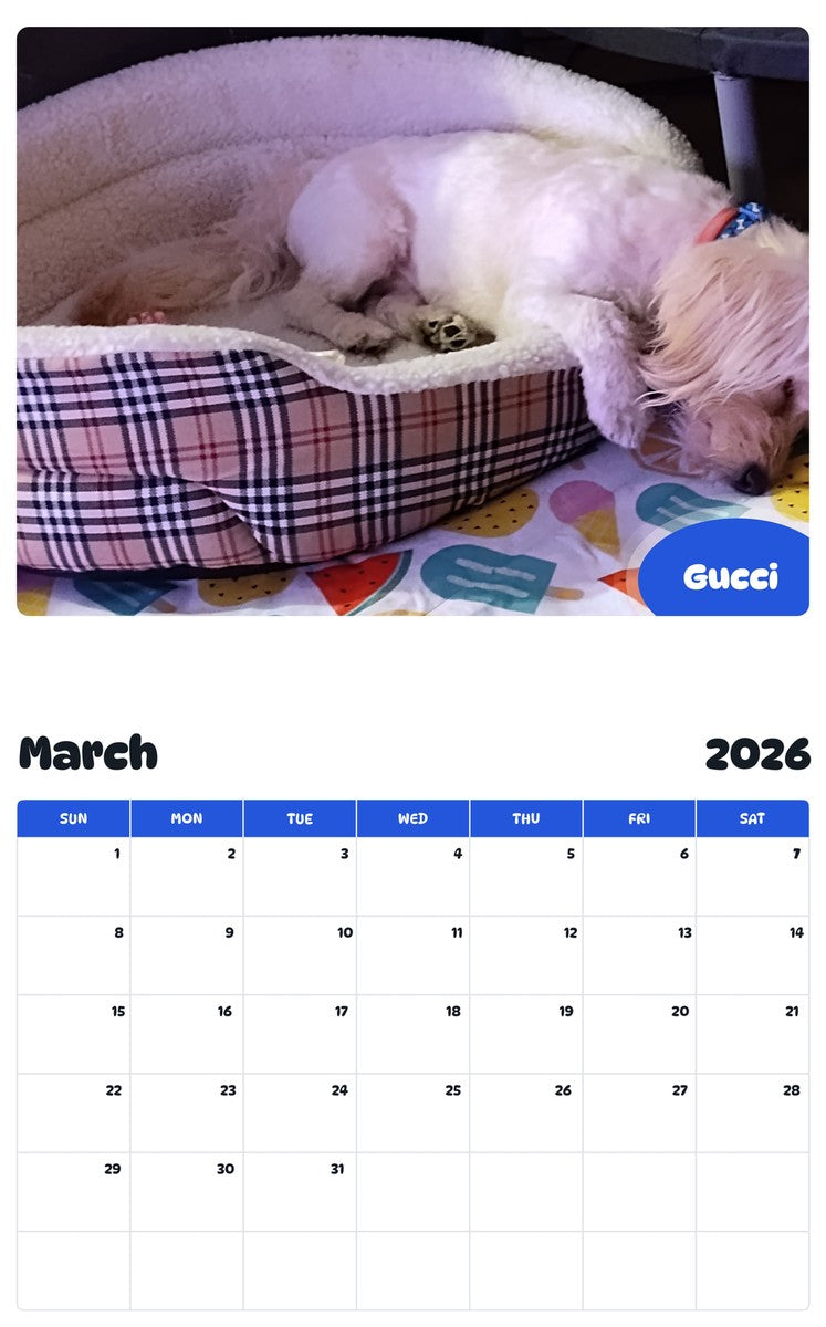 November 2025 - October 2026 Gucci - Pawidols Pet Calendar