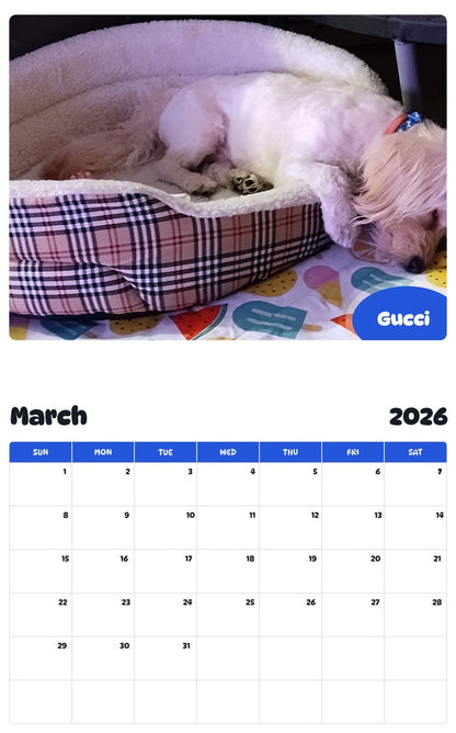 November 2025 - October 2026 Gucci - Pawidols Pet Calendar