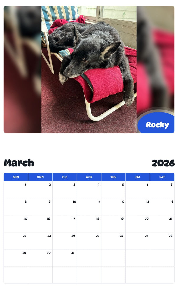 November 2025 - October 2026 Rocky - Pawidols Pet Calendar