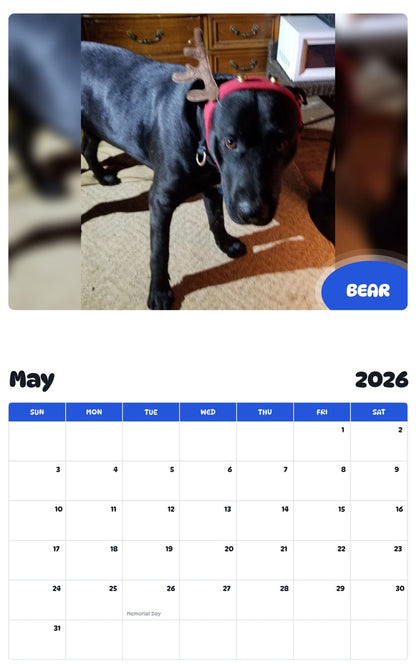 2026 - 2027 BEAR - Pawidols Pet Calendar