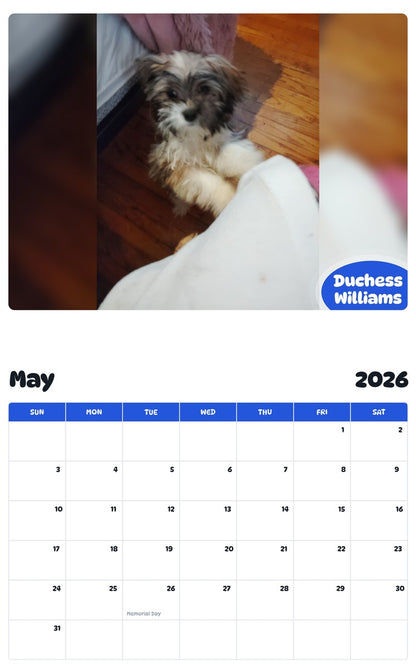 2026 - 2027 Duchess Williams - Pawidols Pet Calendar