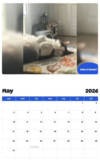 2026 - 2027 Cole & Comet - Pawidols Pet Calendar