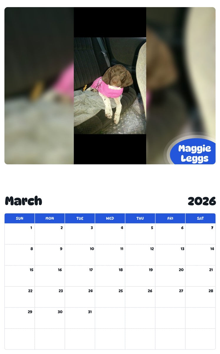 November 2025 - October 2026 Maggie Leggs - Pawidols Pet Calendar