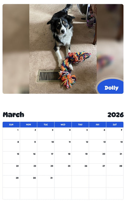 November 2025 - October 2026 Dolly - Pawidols Pet Calendar