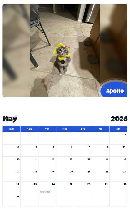 2026 - 2027 Apollo - Pawidols Pet Calendar