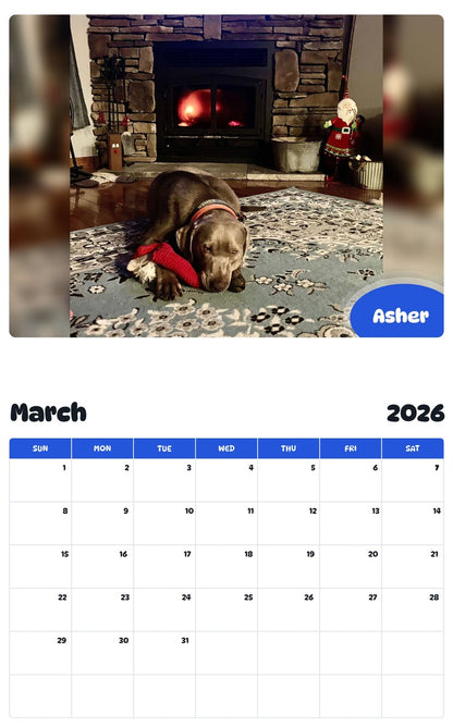 November 2025 - October 2026 Asher - Pawidols Pet Calendar