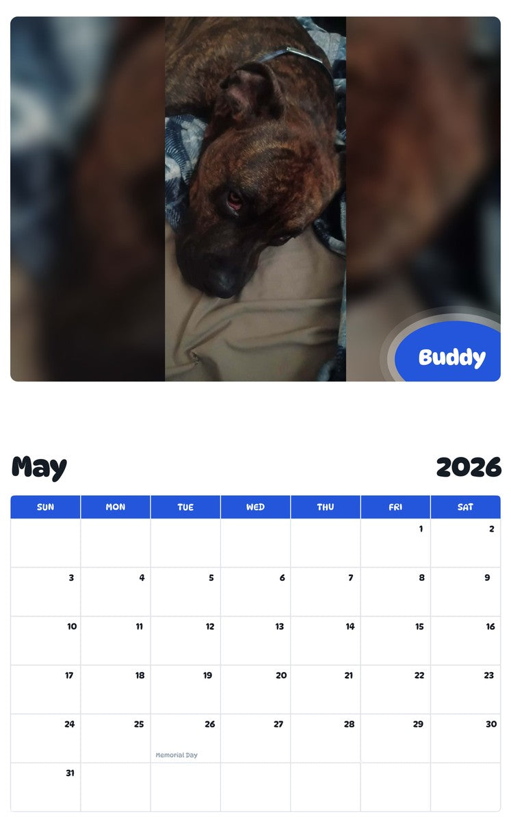 2026 - 2027 Buddy - Pawidols Pet Calendar
