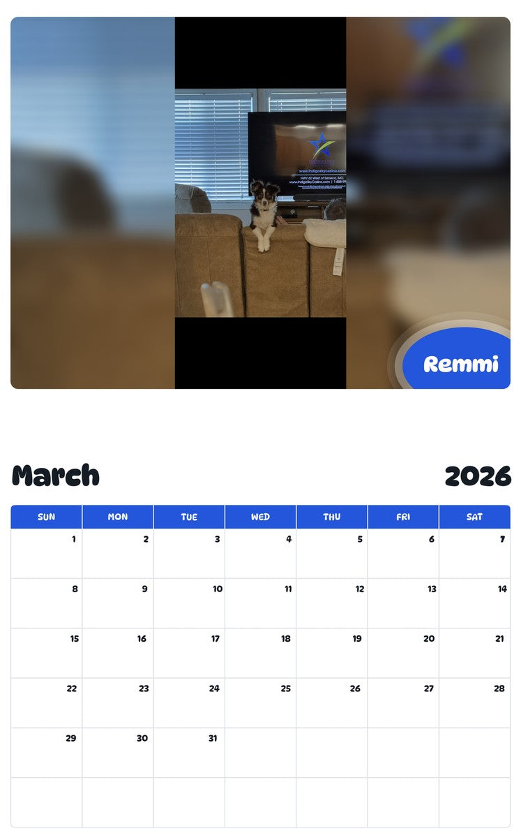 November 2025 - October 2026 Remmi - Pawidols Pet Calendar