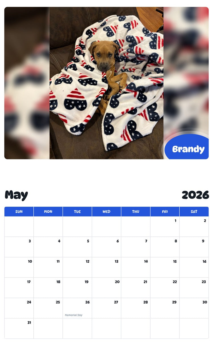2026 - 2027 Brandy - Pawidols Pet Calendar