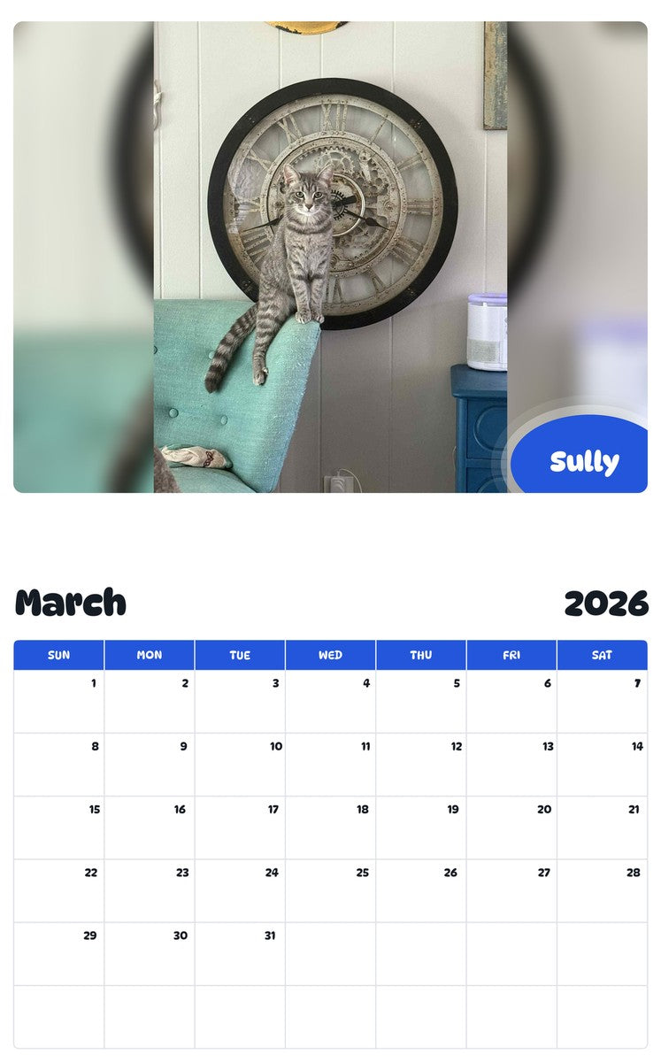 November 2025 - October 2026 Sully - Pawidols Pet Calendar