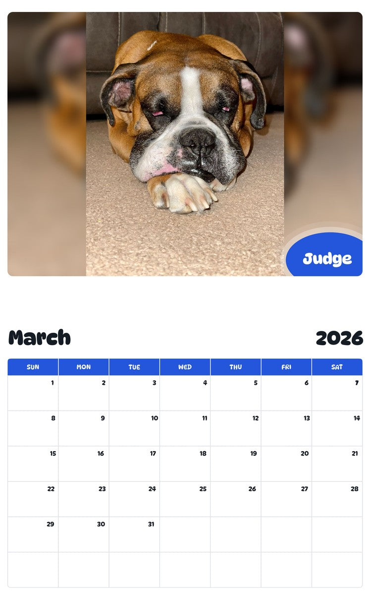 November 2025 - October 2026 Judge - Pawidols Pet Calendar