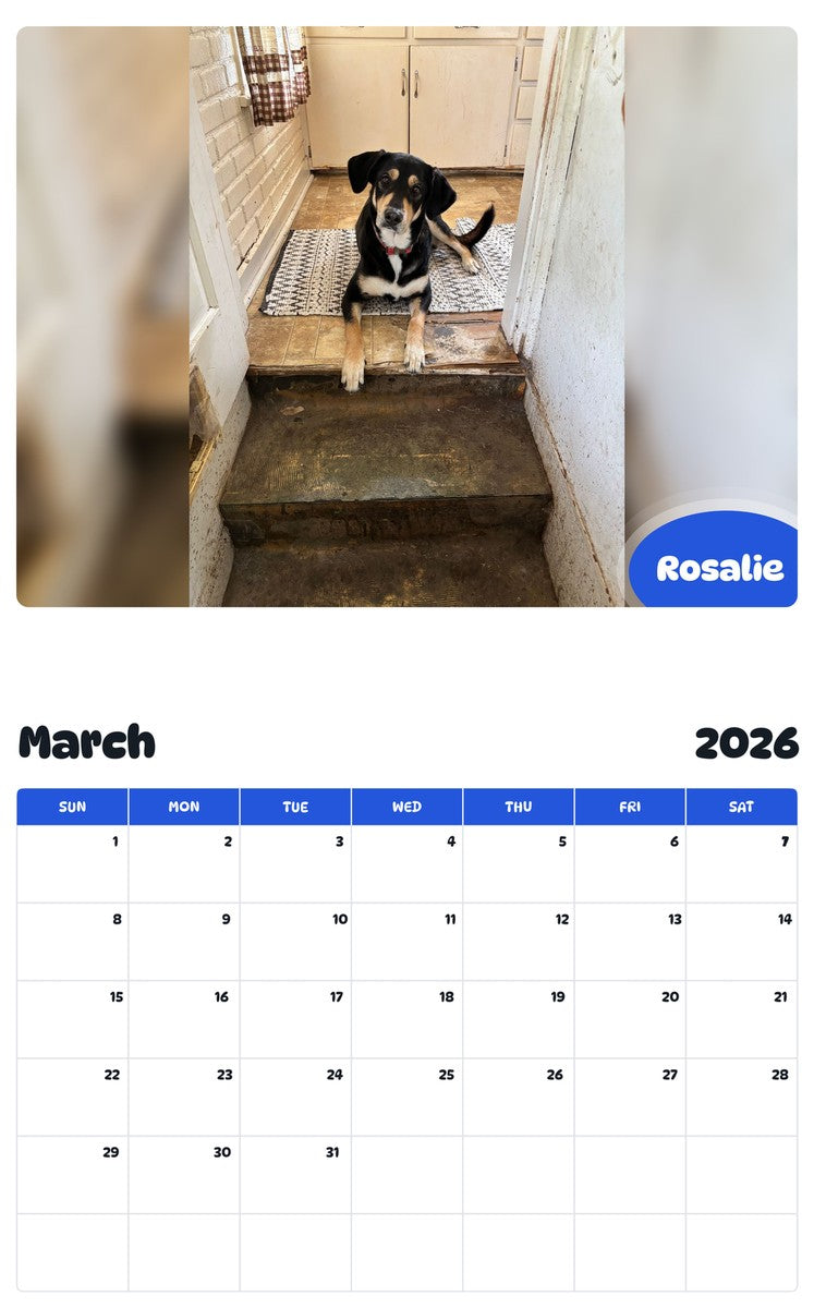 November 2025 - October 2026 Rosalie - Pawidols Pet Calendar