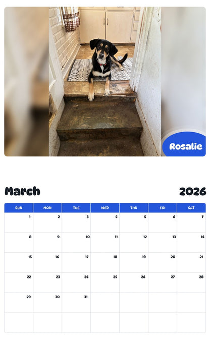 November 2025 - October 2026 Rosalie - Pawidols Pet Calendar