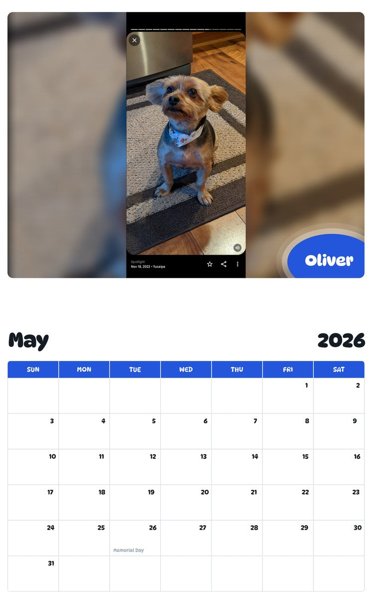 2026 - 2027 Oliver - Pawidols Pet Calendar