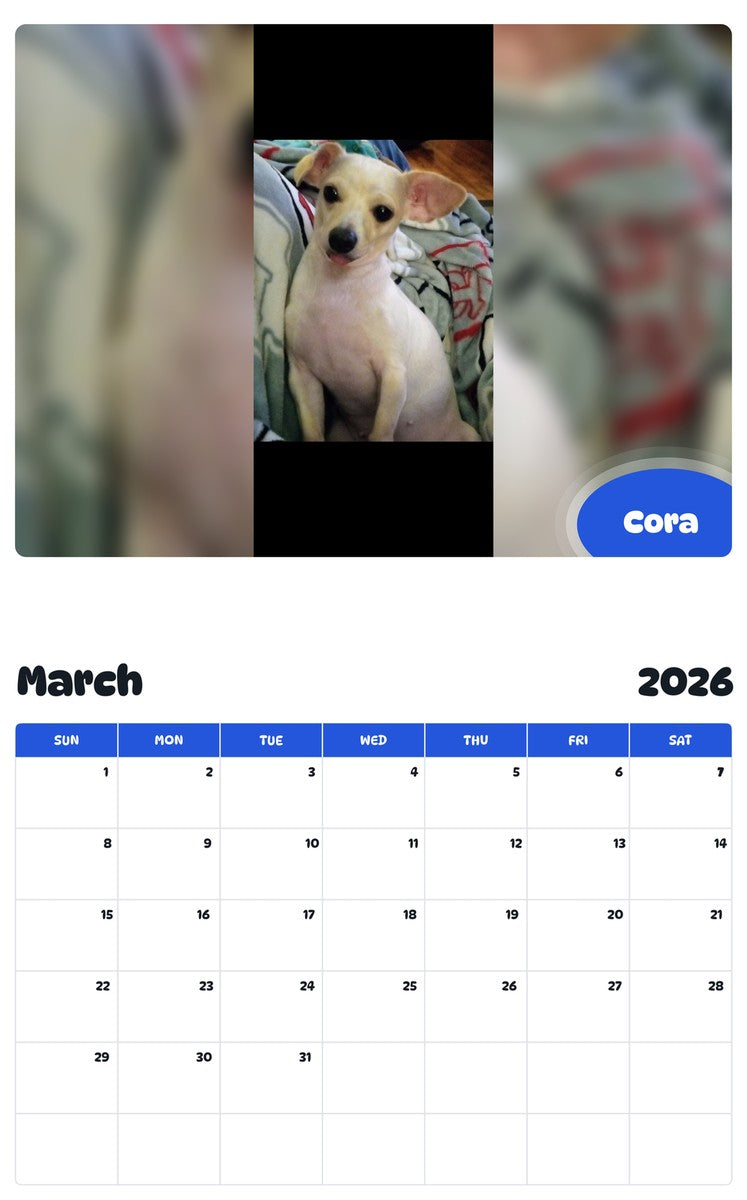 November 2025 - October 2026 Cora - Pawidols Pet Calendar
